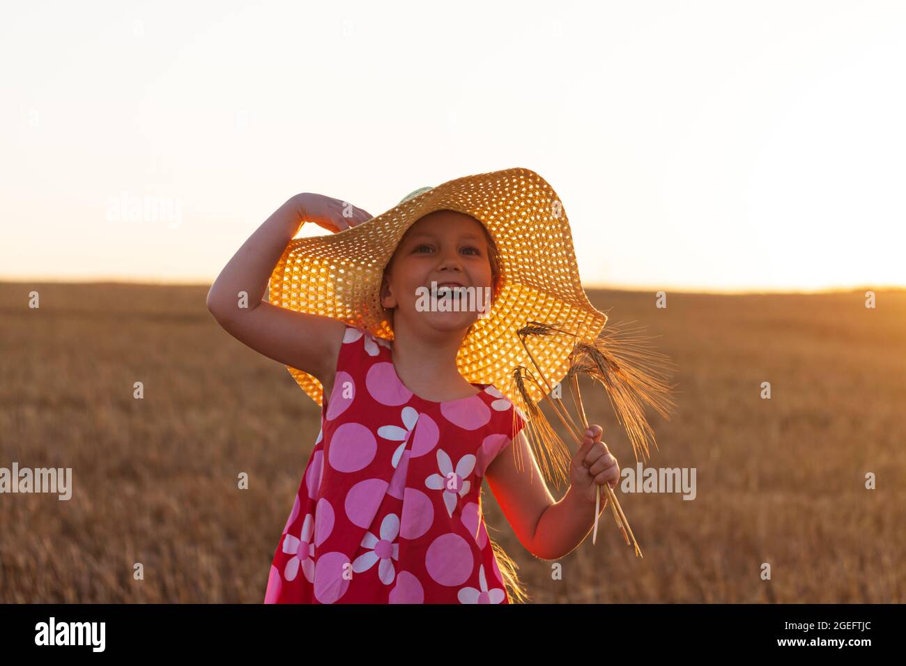 Adorable little girl in a straw hat and pink summer dress in wheat ...