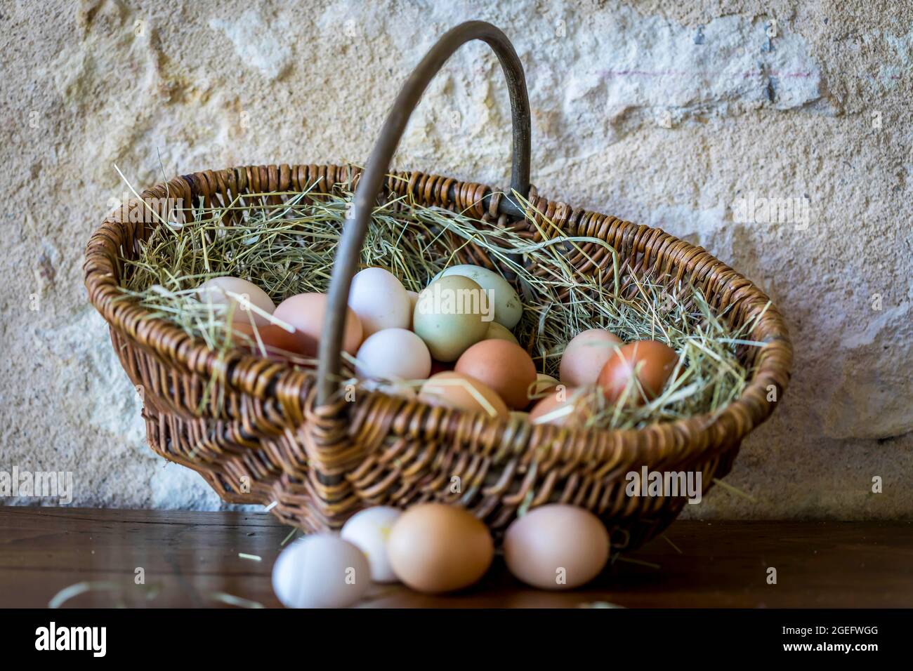 Eggs in a basket Stock Photo