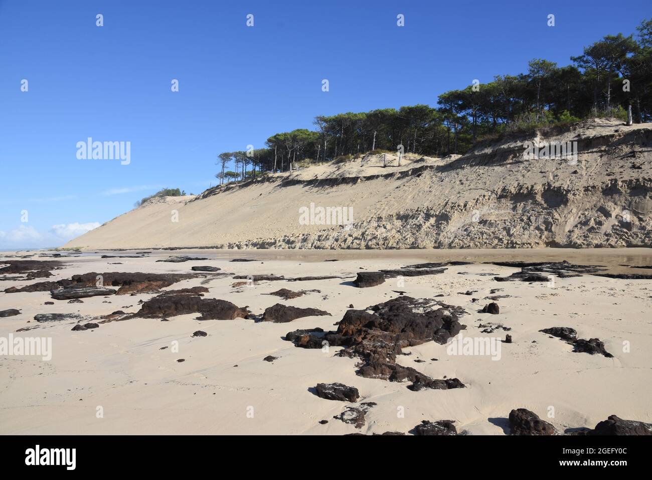 France, Aquitaine, on the Atlantic coast the increase of the ocean level and the strength of the storms favor the ersion of diunes and beaches. Stock Photo
