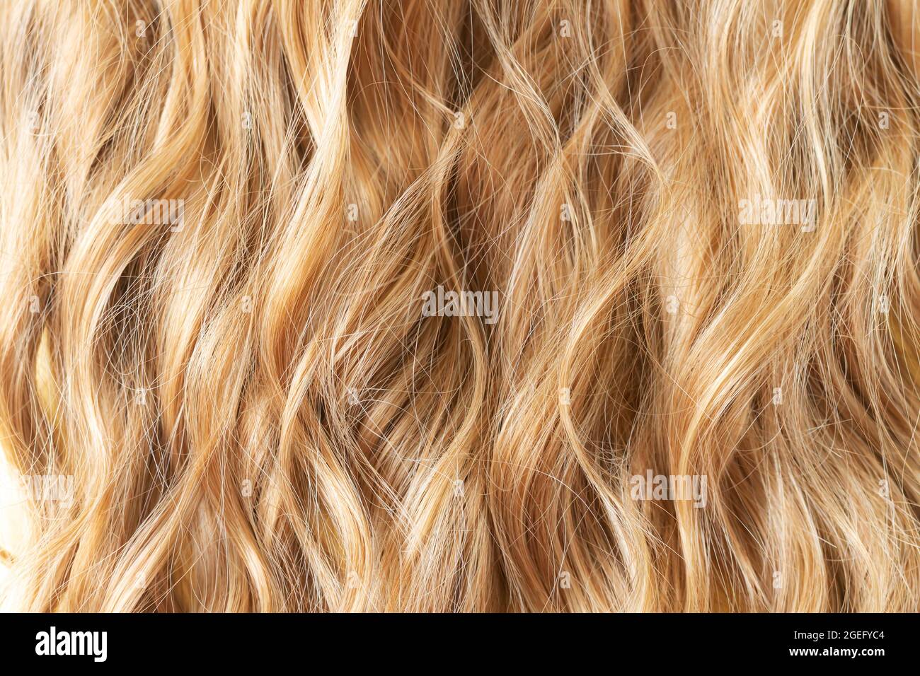 Texture of natural long blond wavy hair. Hair cut, styling, care or  extension concept Stock Photo - Alamy