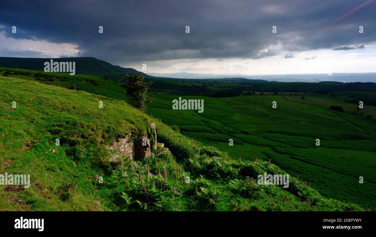 Hay-on-Wye, Wales - July 13, 2021:  Golden hour sunlight on the view from just below Gospel Pass over the northern foothills of the Black Mountains in Stock Photo