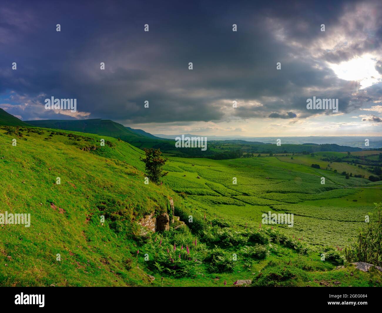Hay-on-Wye, Wales - July 13, 2021:  Golden hour sunlight on the view from just below Gospel Pass over the northern foothills of the Black Mountains in Stock Photo