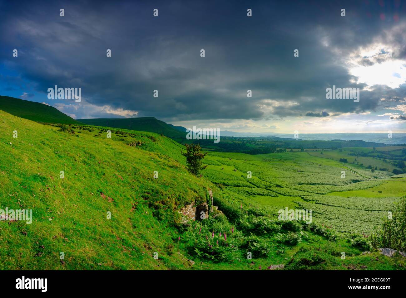 Hay-on-Wye, Wales - July 13, 2021:  Golden hour sunlight on the view from just below Gospel Pass over the northern foothills of the Black Mountains in Stock Photo