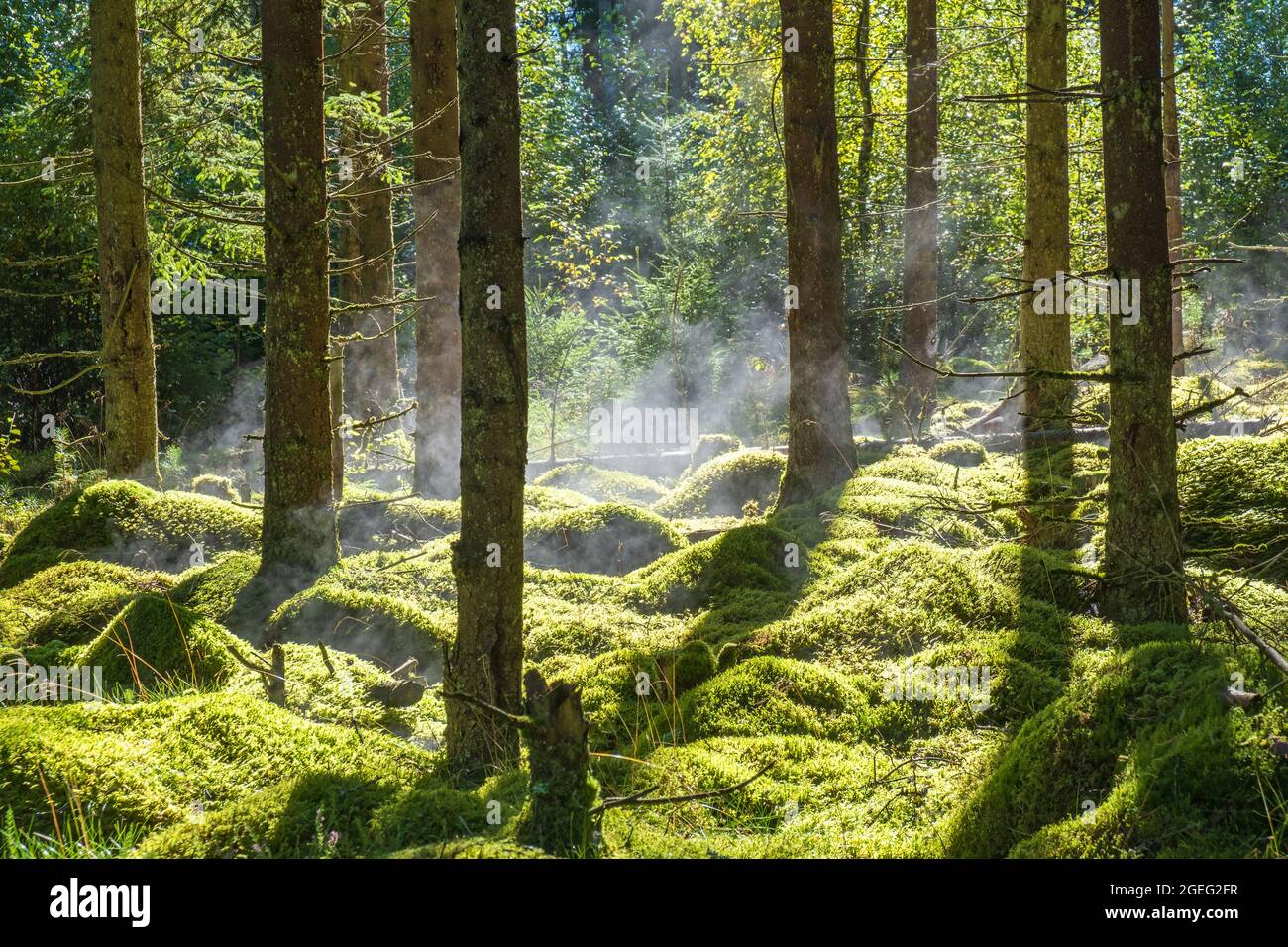 Morning landscape on sunny hi-res stock photography and images - Alamy