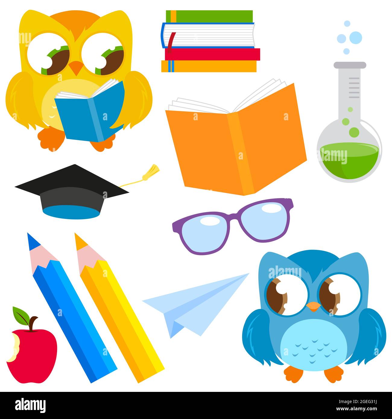 School objects and cute student owls. Illustration set Stock Photo