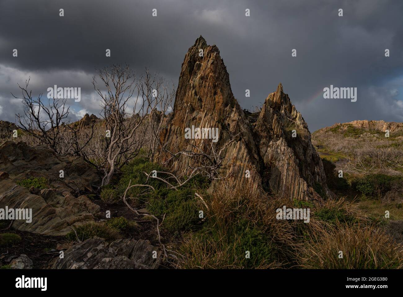 Rock formations on the Takayna Tarkine Coast, Tasmania, Australia Stock ...