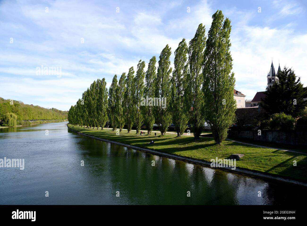 Melun (Paris area): banks of the River Seine and poplars Stock Photo