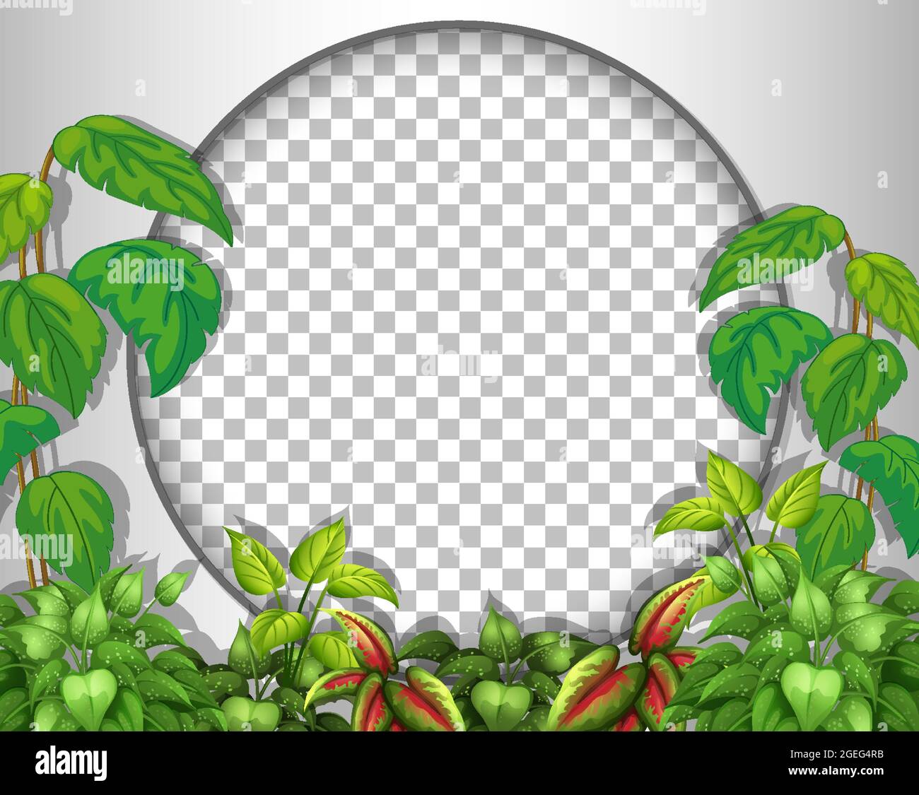 Round frame transparent with tropical leaves template illustration ...
