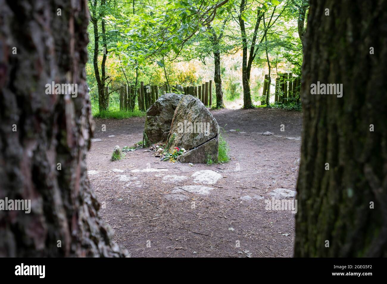 Broceliande Forest, Paimpont Forest: Merlin's Tomb. The fairy Vivien, wishing to keep him with her for eternity, is said to have trapped her master an Stock Photo