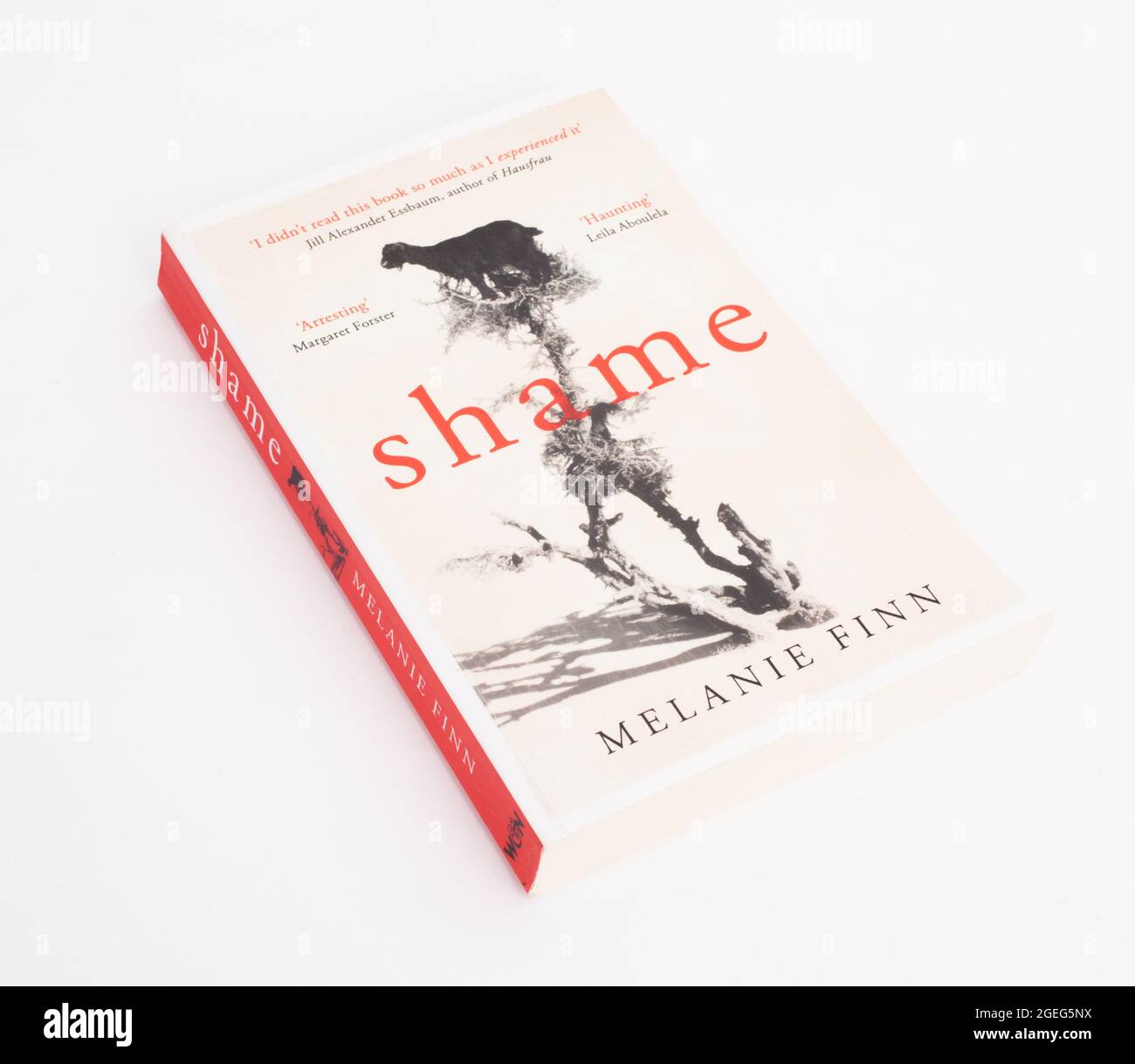 The book, Shame by Melanie Finn Stock Photo