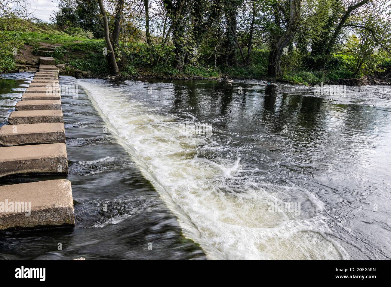 Concrete stepping stones along the Skell River, Ripon, North Yorkshire