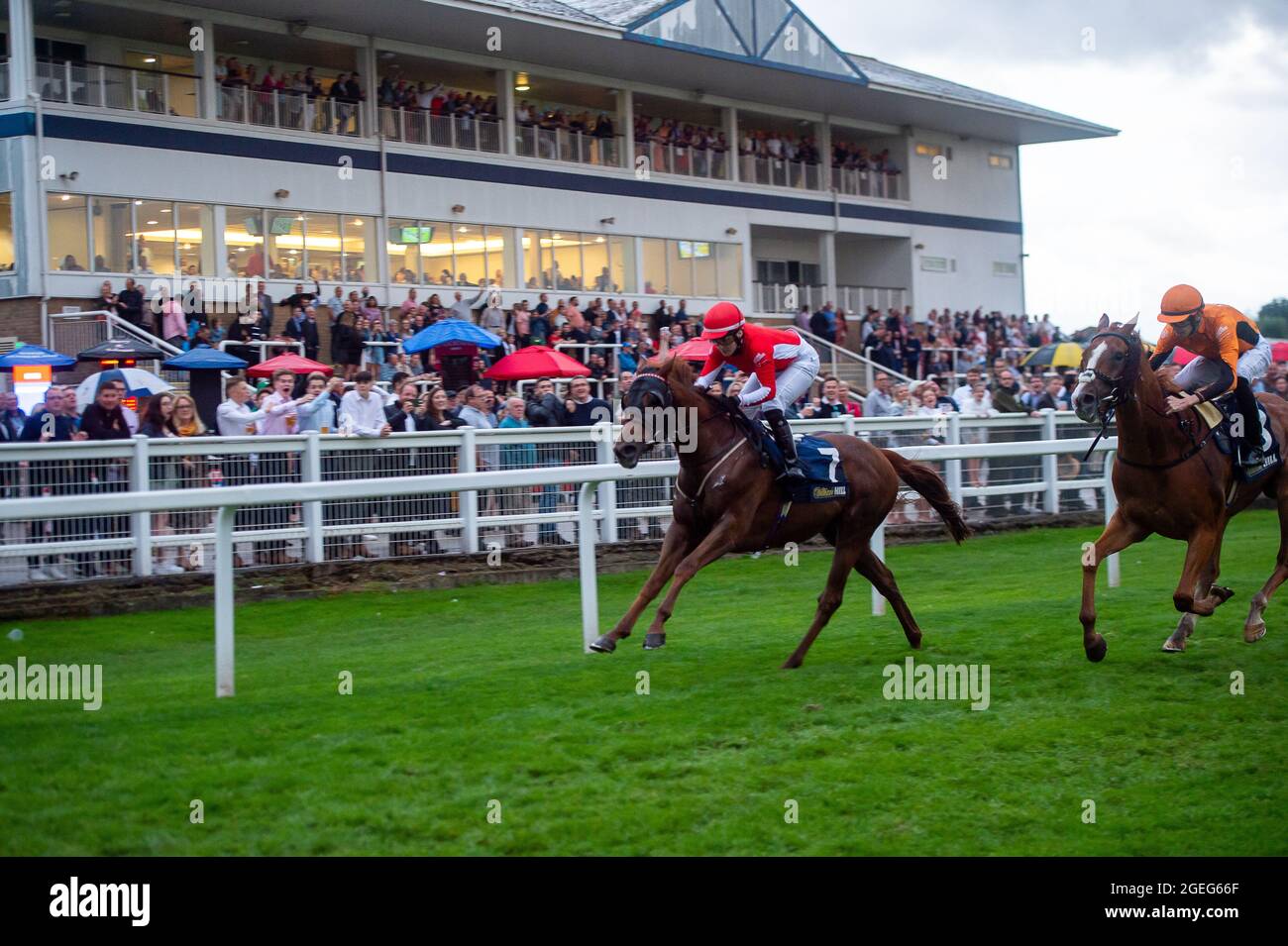 Trainer eve johnson houghton hires stock photography and images Alamy