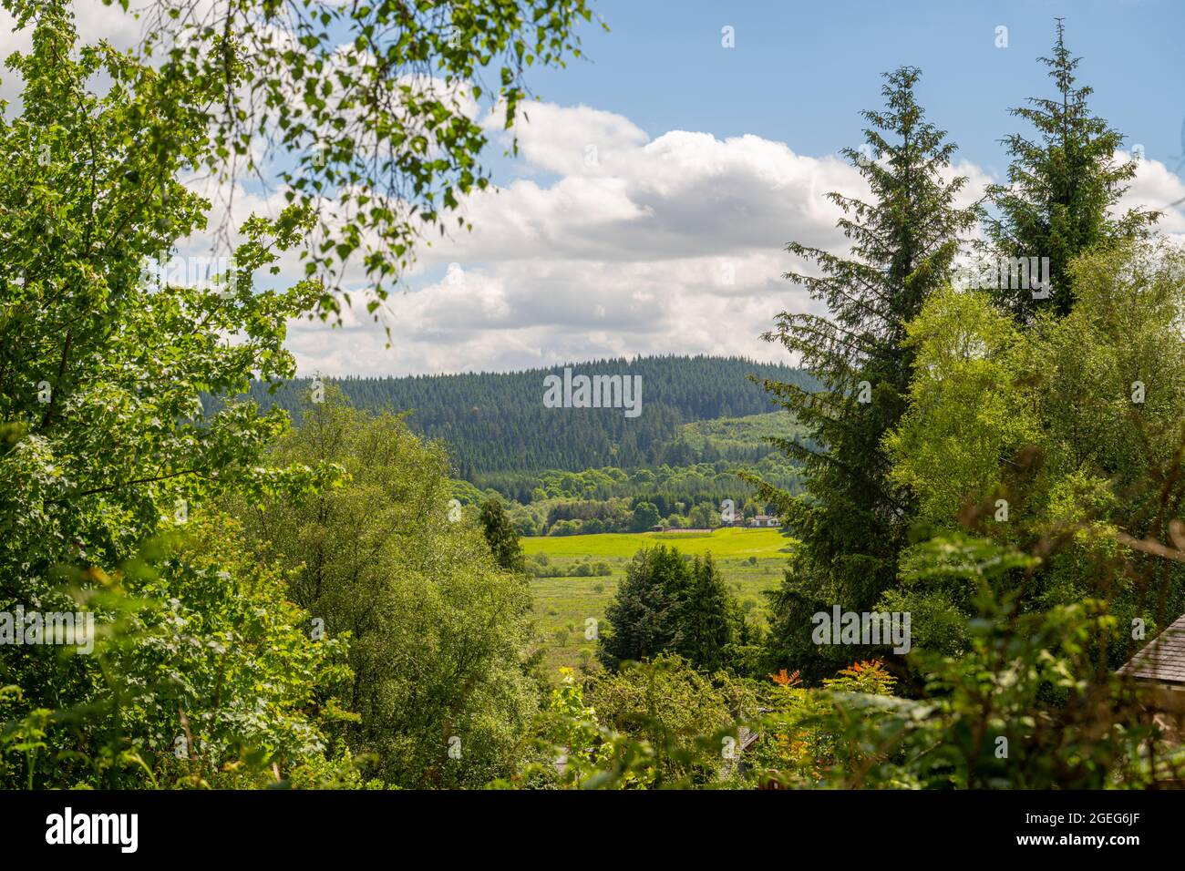 Looking south from the hills behind Aberfoyle Stirling in the Trossachs Scotland. Stock Photo