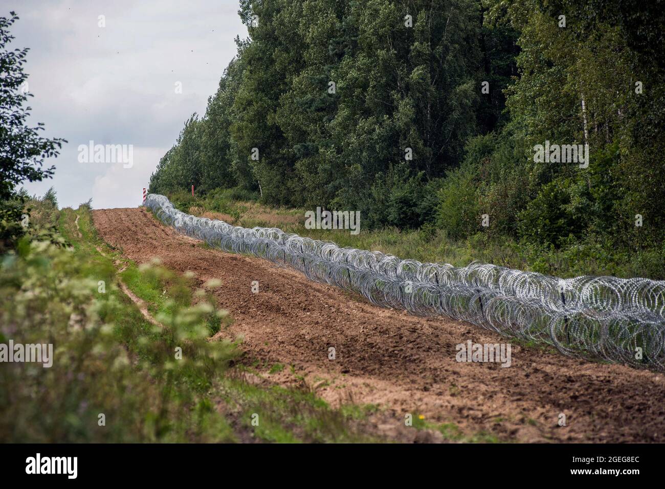 A newly built barbed wire fence is seen in the fields at the Polish-Belarusian border. The growing number of people trying to cross into Poland is turning migration into a domestic political issue in Poland. In a border village Usnarz Gorny there is a stand-off between Belarusian and Polish border guards with more than 30 Afghan refugees stuck in the middle. The refugees stuck there since almost two weeks as they are not allowed to enter Poland or return to Belarus. Poland has deployed hundreds of troops along its border with Belarus to stop the arrival of migrants seeking to enter the country Stock Photo