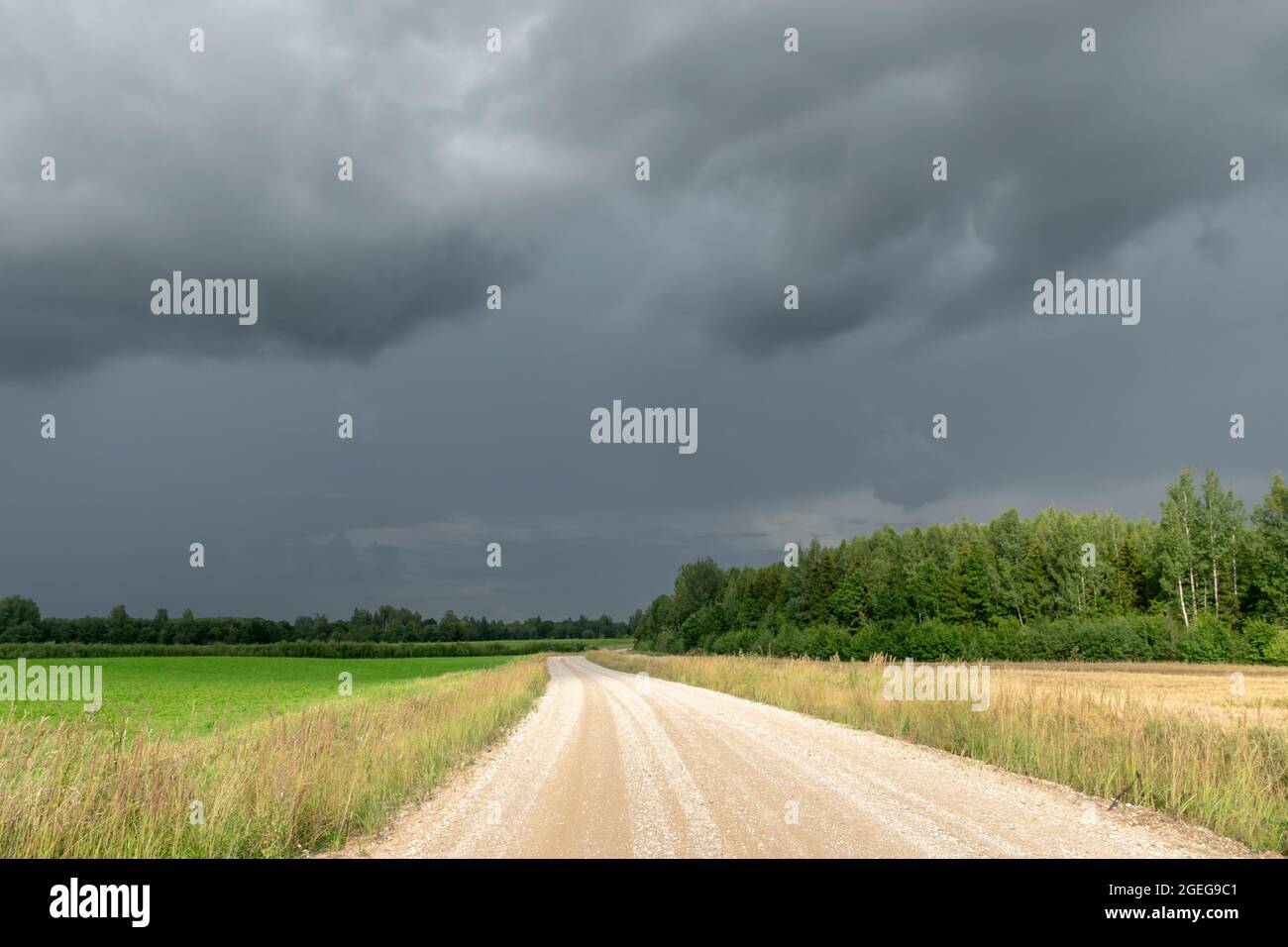 rural landscape with storm clouds, contrasting colors in nature before ...