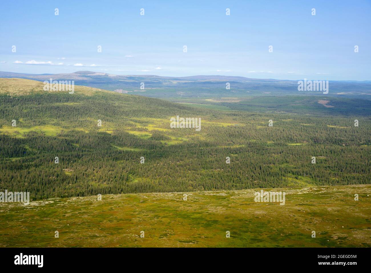 Mountain landscape in summer, Idre - Dalarna Stock Photo