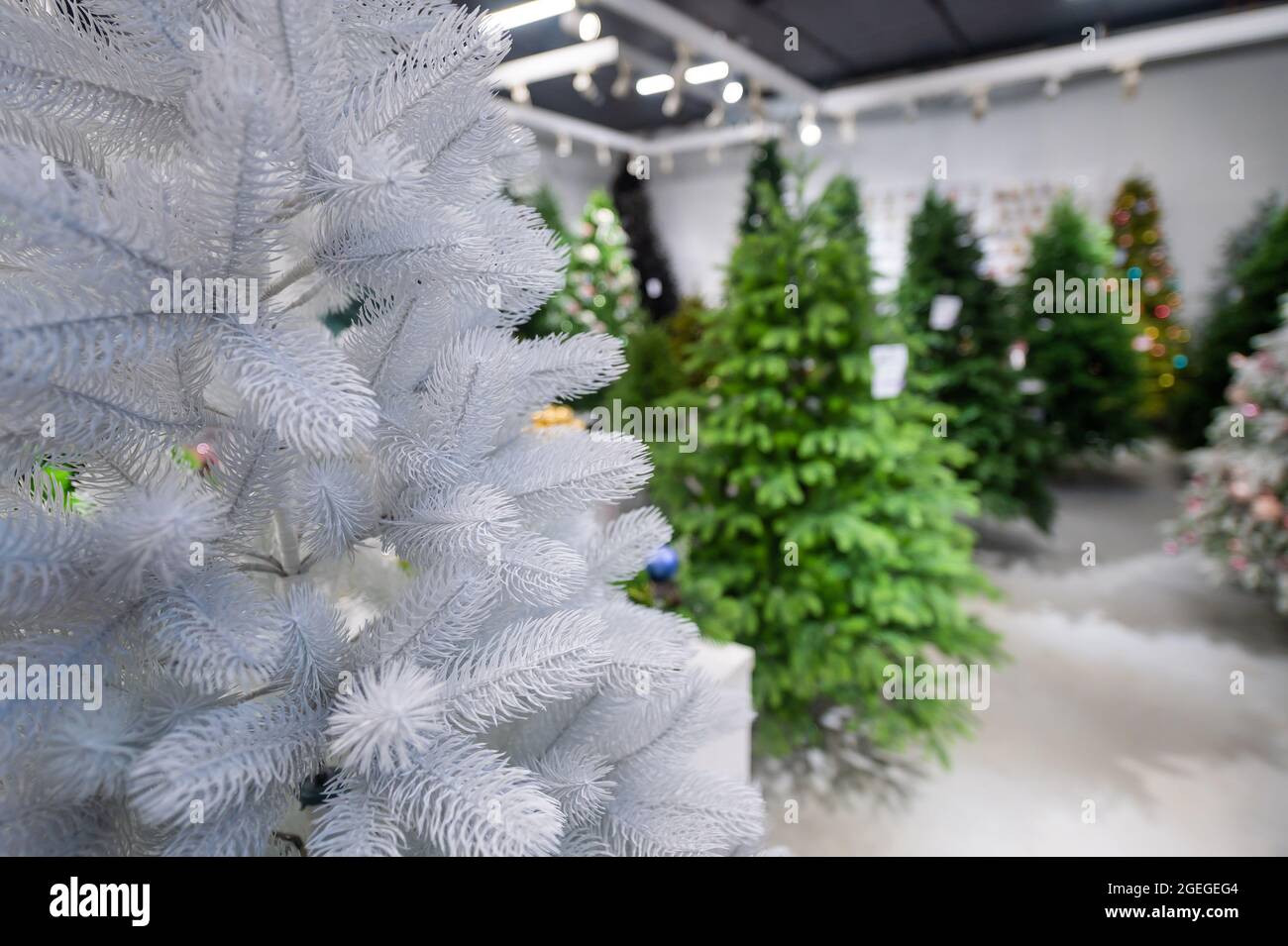 Selection of artificial Christmas trees in the store Stock Photo Alamy