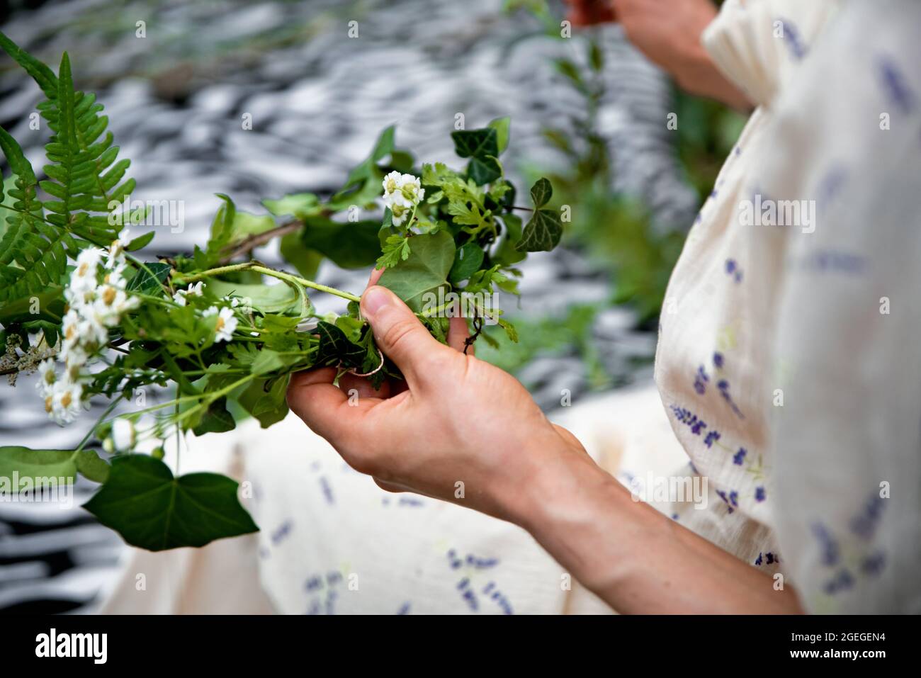 Woman making head wreath with fresh flowers. Close up of hands weaving a wreath with green leaves and flowers on midsummer day Stock Photo