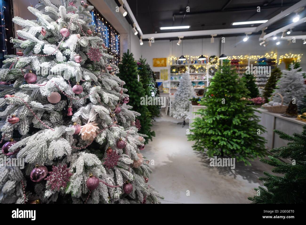 Selection of artificial Christmas trees in the store Stock Photo Alamy