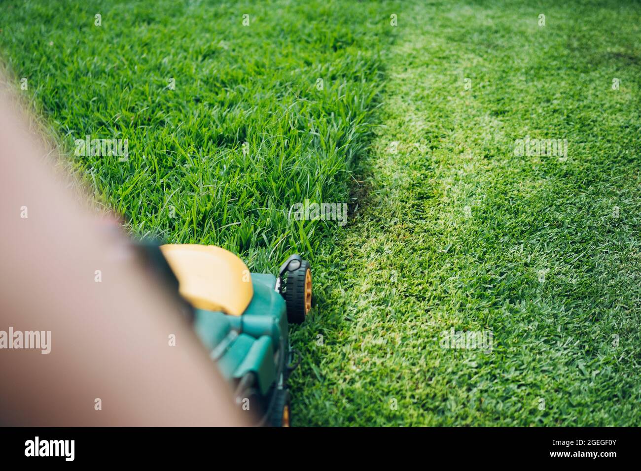 lawn mower cutting the tallest lawn Stock Photo Alamy