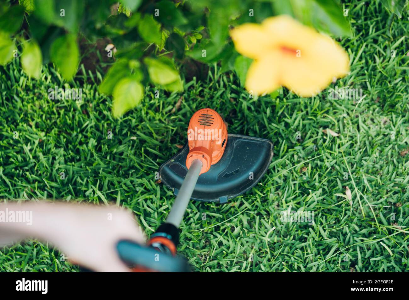 brush-cutter held by a woman seen from above Stock Photo
