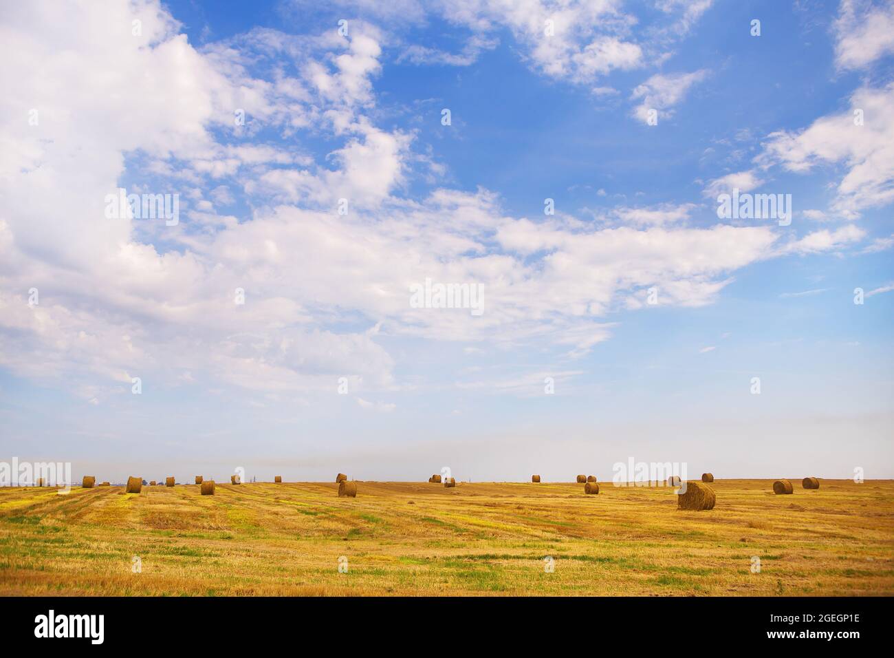 Summer Landscape with Wheat Field and Clouds Stock Photo - Alamy
