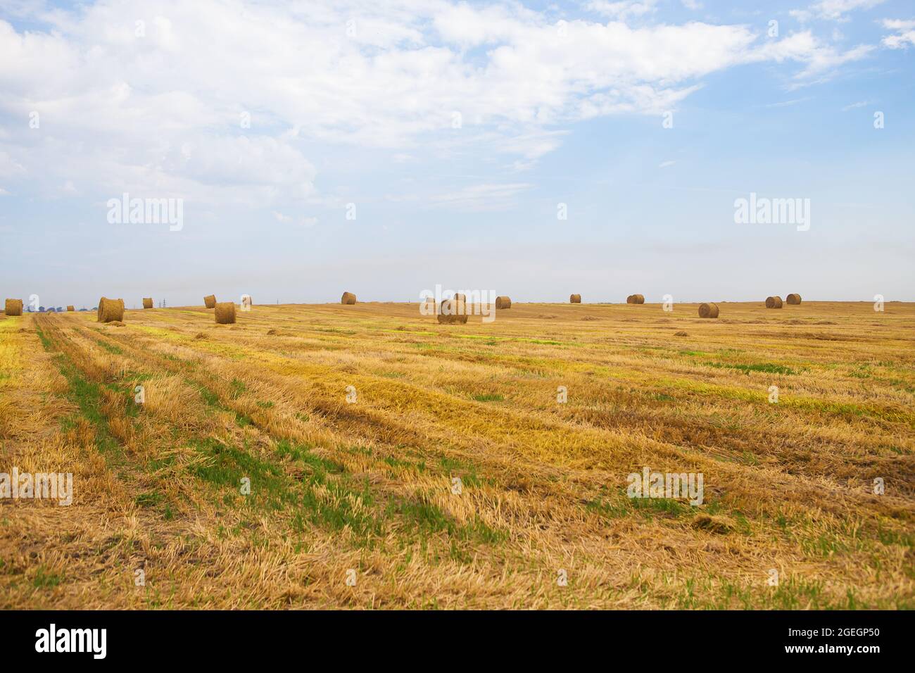 Summer Landscape with Wheat Field and Clouds Stock Photo - Alamy
