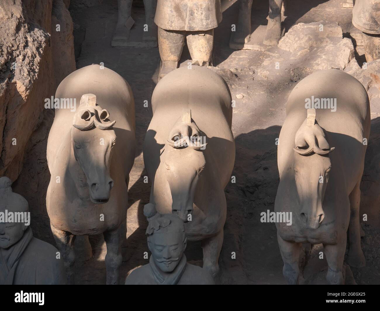 Terracotta horses in the tomb of the first emporer of the Qin dynasty of the terracotta warriors at Lintong County, Shaanxi, Xi'an, China, Asia Stock Photo