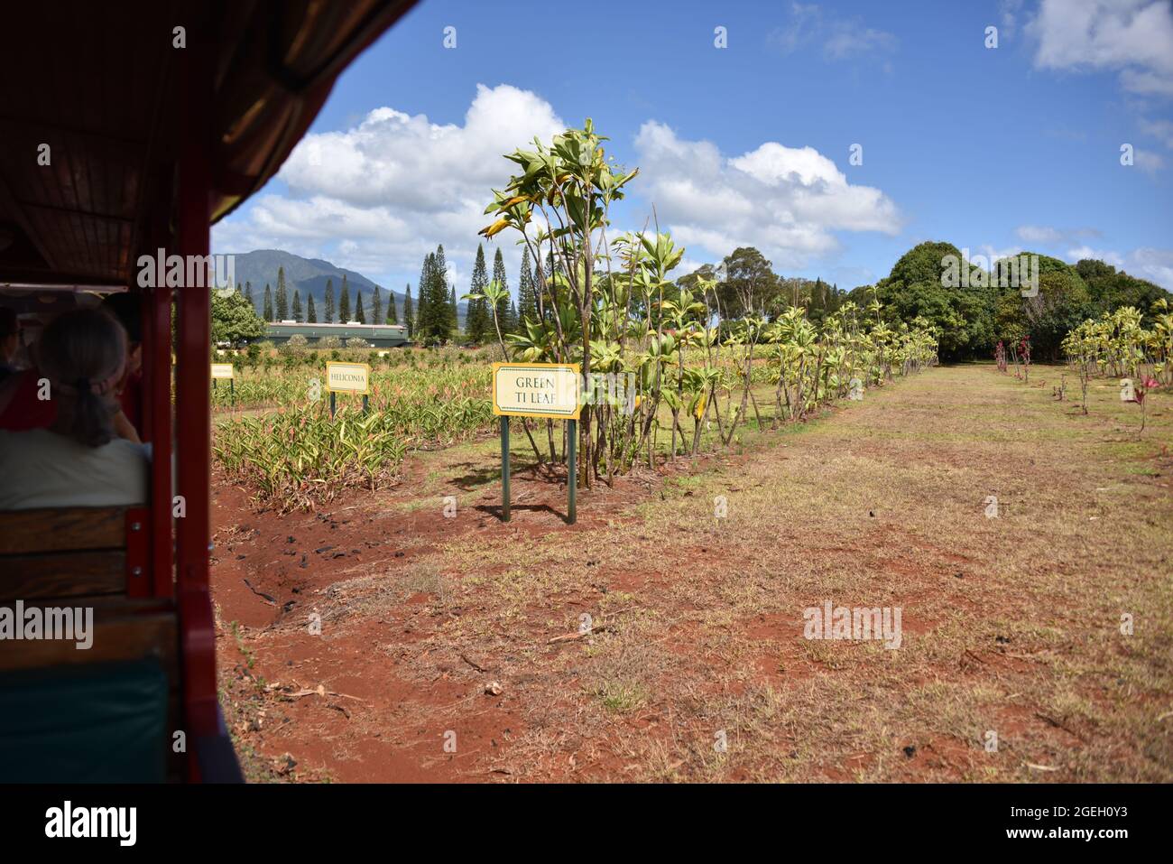 Oahu HI U.S.A. 6/3&6/2021. Dole Plantation. Gardens. Pineapple Express