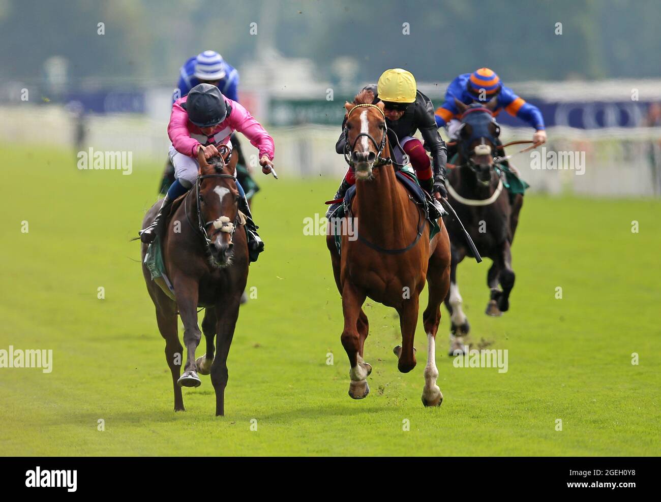 Stradivarius lonsdale 2021 hires stock photography and images Alamy