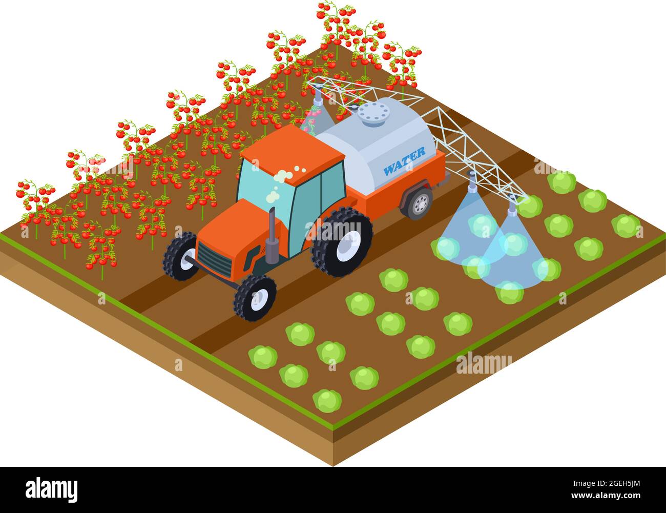 Automatic crop irrigation. Machine watering tomatoes and cabbage