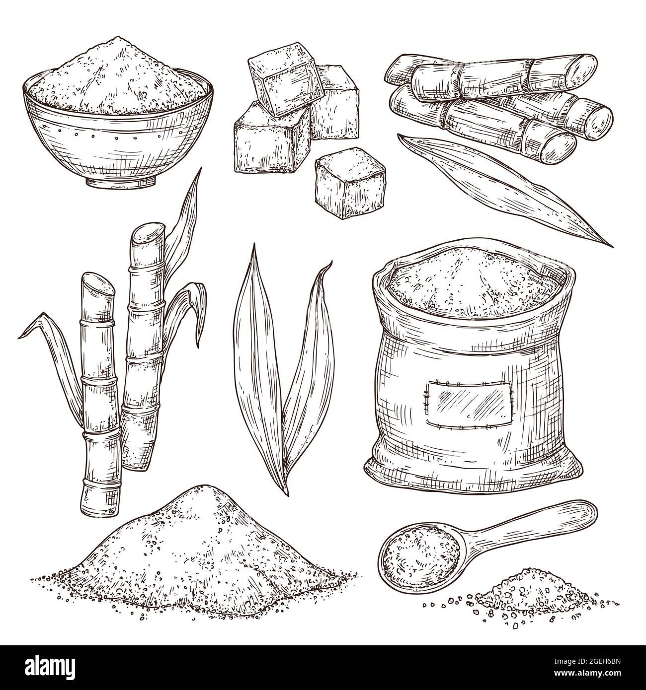 Sketch sugar. Sweet seasoning bag, isolated sugarcane stalk leaves