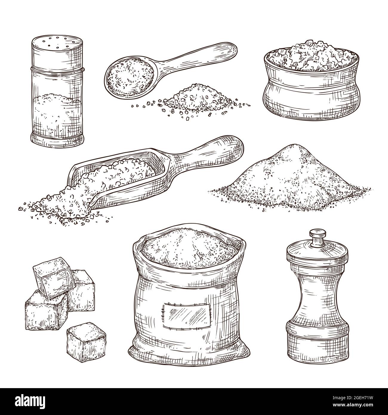 Salt sketch. Hand draw spice, vintage bowl spoon with sea salt powder