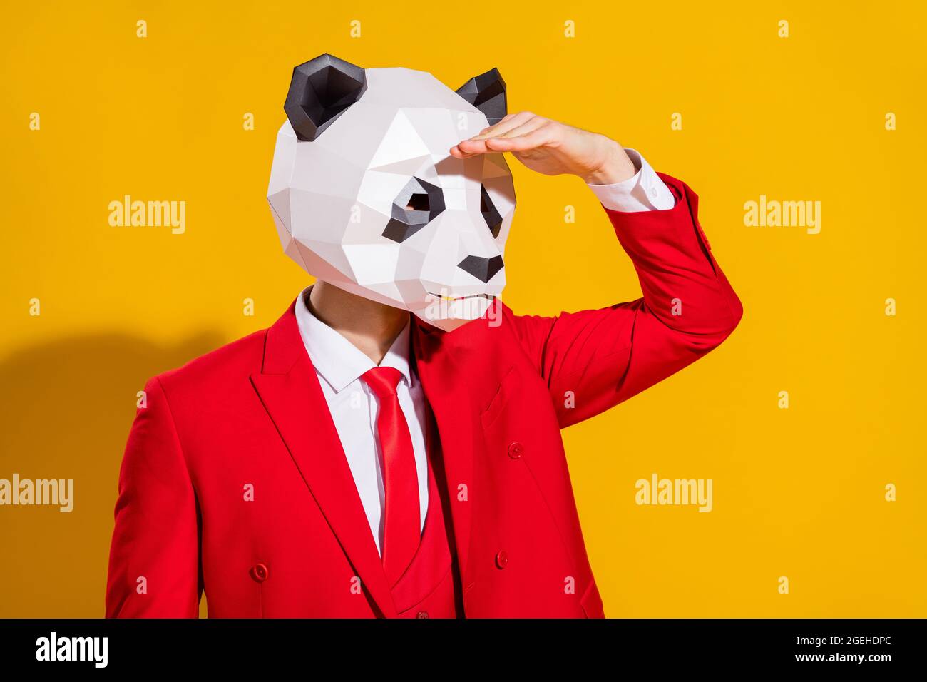 Panda tuxedo hi-res stock photography and images - Alamy