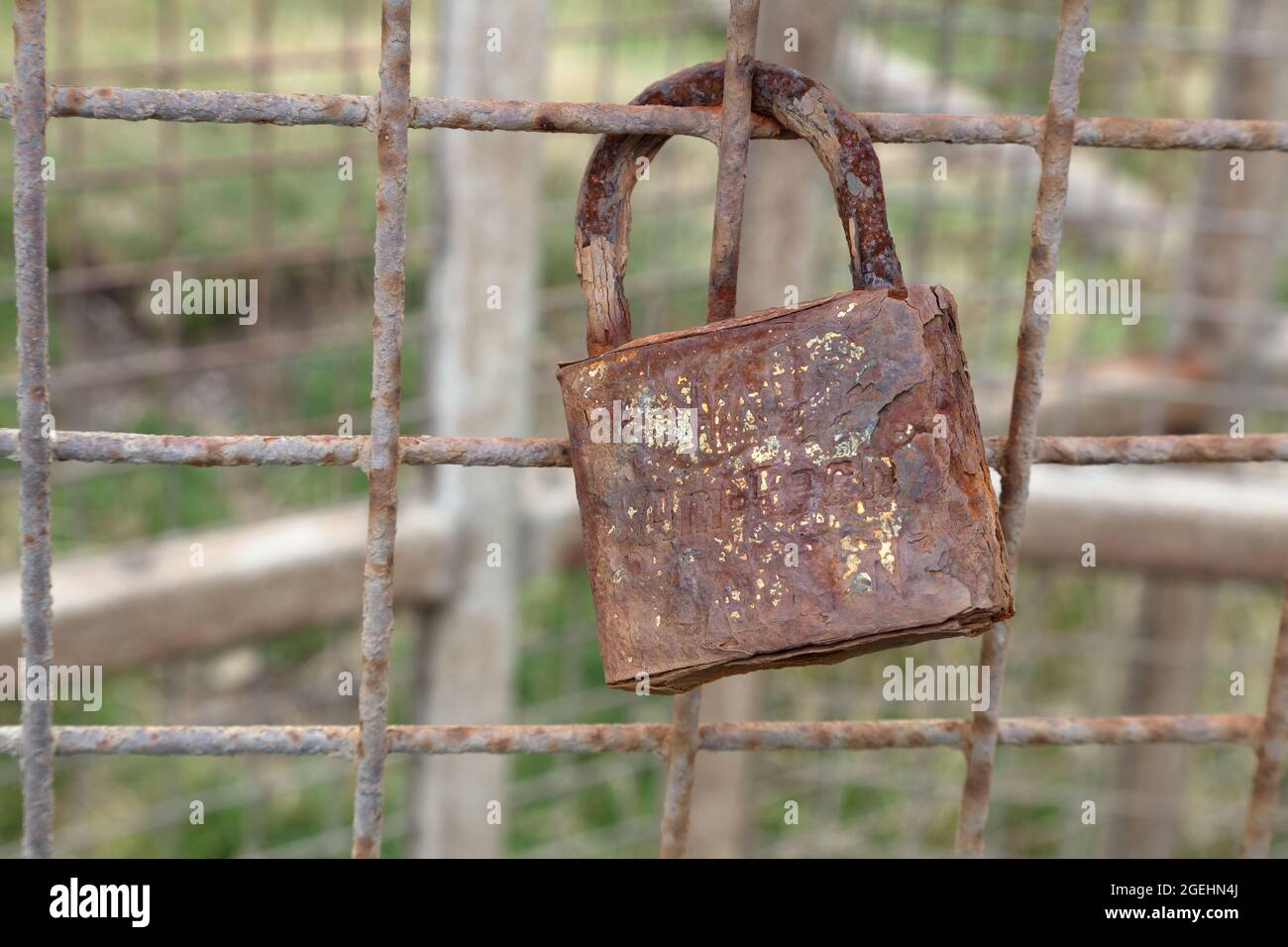 A steel padlock long since abandoned on a wire mesh frame of a gate, rapidly rusting away in the salty atmosphere. Stock Photo