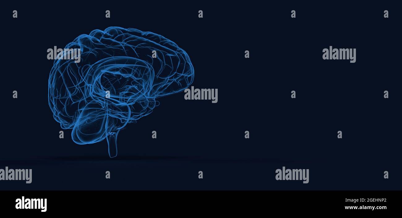 Vector brain blue background hi-res stock photography and images - Alamy