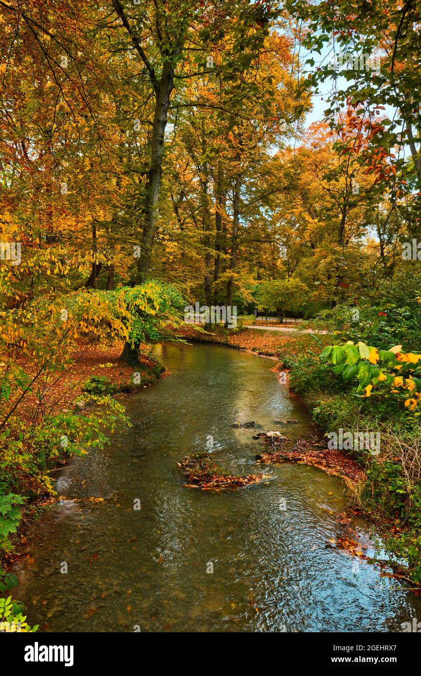Munich English garden Englischer garten park in autumn. Munchen, Bavaria, Germany Stock Photo