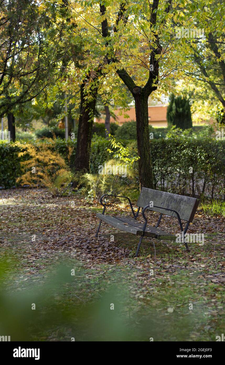 Empty park bench covered hi-res stock photography and images - Alamy