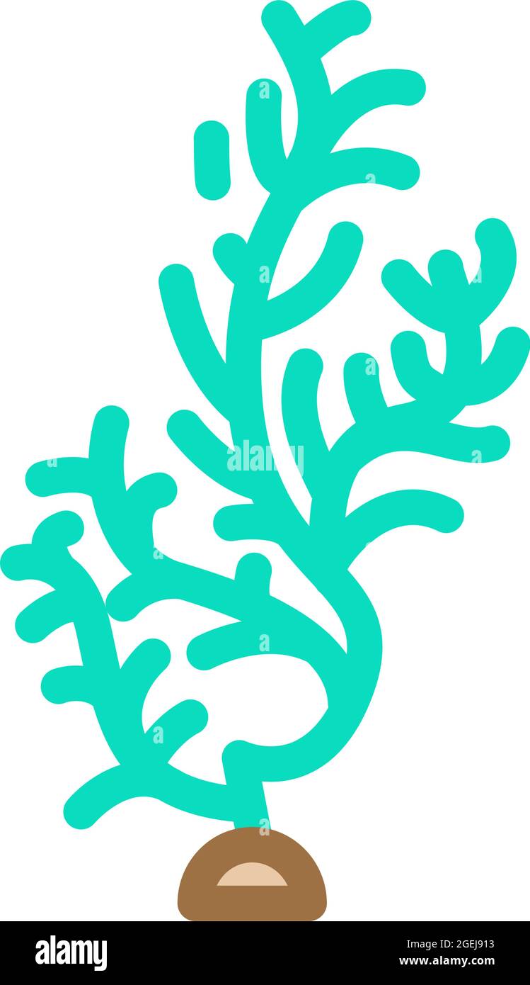 cladophora glomerata seaweed color icon vector illustration Stock Vector