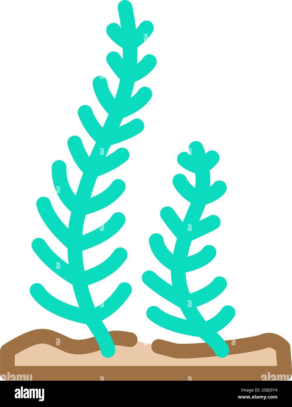 caulerpa taxifolia seaweed color icon vector illustration Stock Vector