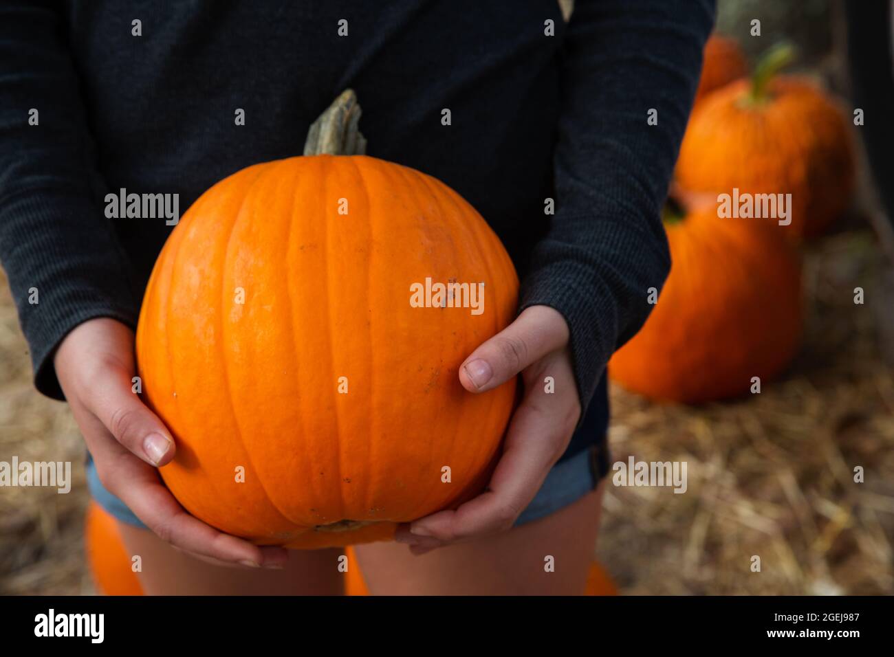 Woman holding orange pumpkin gourd at local fall festival Stock Photo