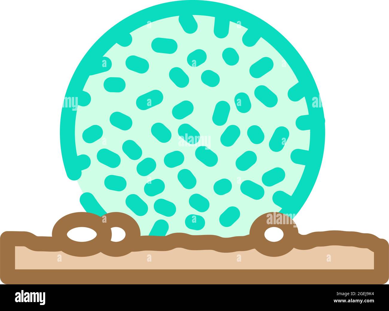 egagropylus linnaeus seaweed color icon vector illustration Stock Vector