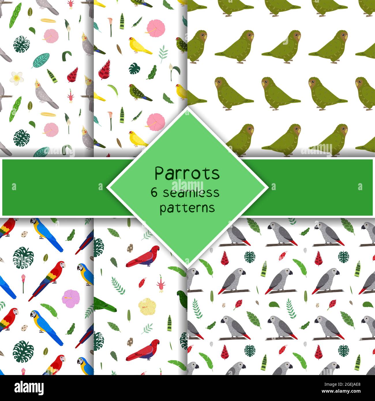 Parrot Pattern Background Parrot seamless pattern collection in cartoon style. Parrots owl, macaw ...