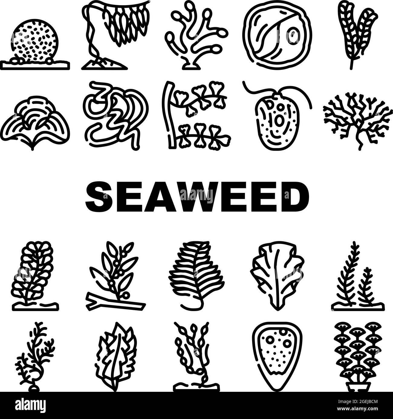Seaweed Sea Underwater Plant Icons Set Vector Stock Vector