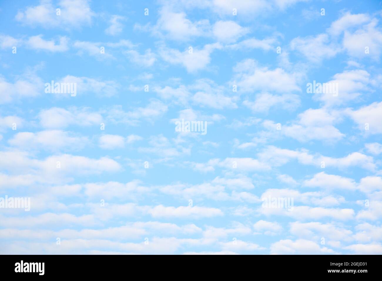 Multitude white small clouds in the sky , may be used as background Stock Photo