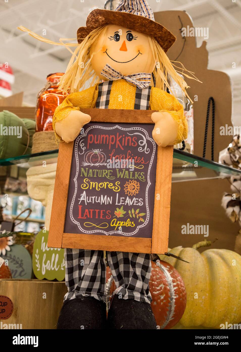 Fall and Thanksgiving seasonal decorations for sale in a local North Florida department store. Stock Photo