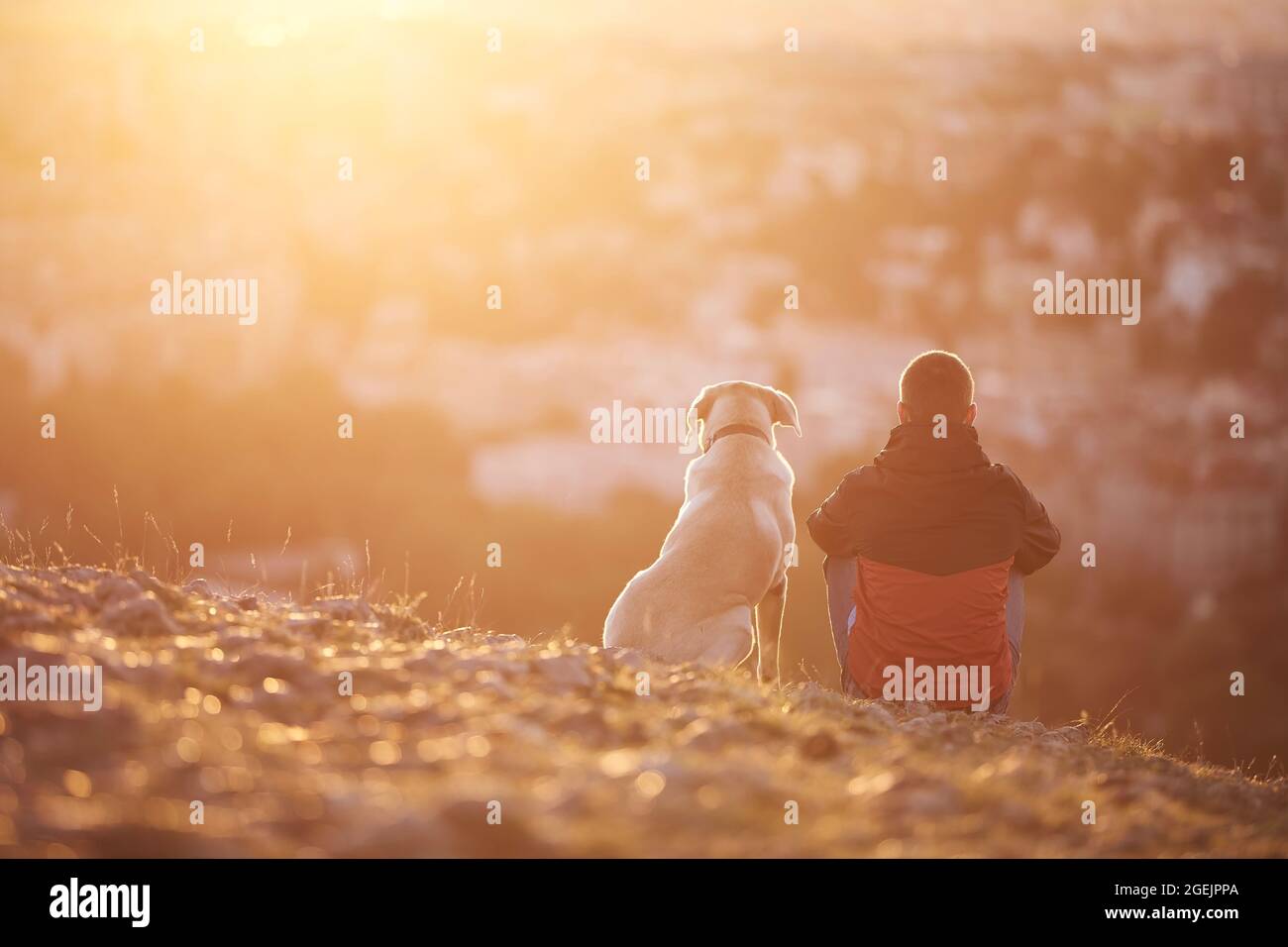 Back view man his dog sitting on hi-res stock photography and images ...