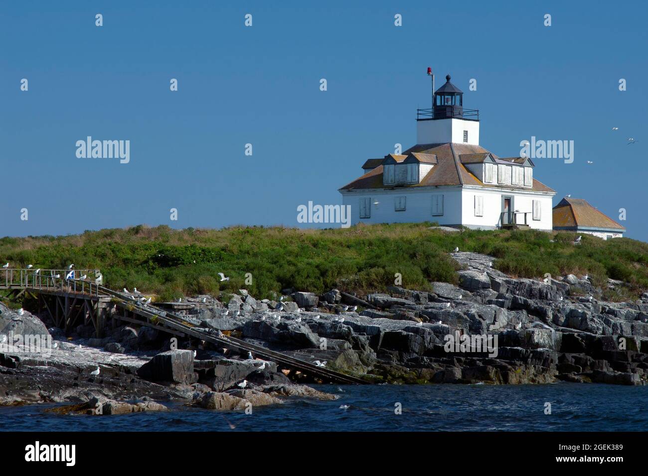 Seagulls around Egg Rock lighthouse in Acadia National Park, in Maine. The island is bird sanctuary, as part of the Maine Coastal Islands Wildlife Ref Stock Photo
