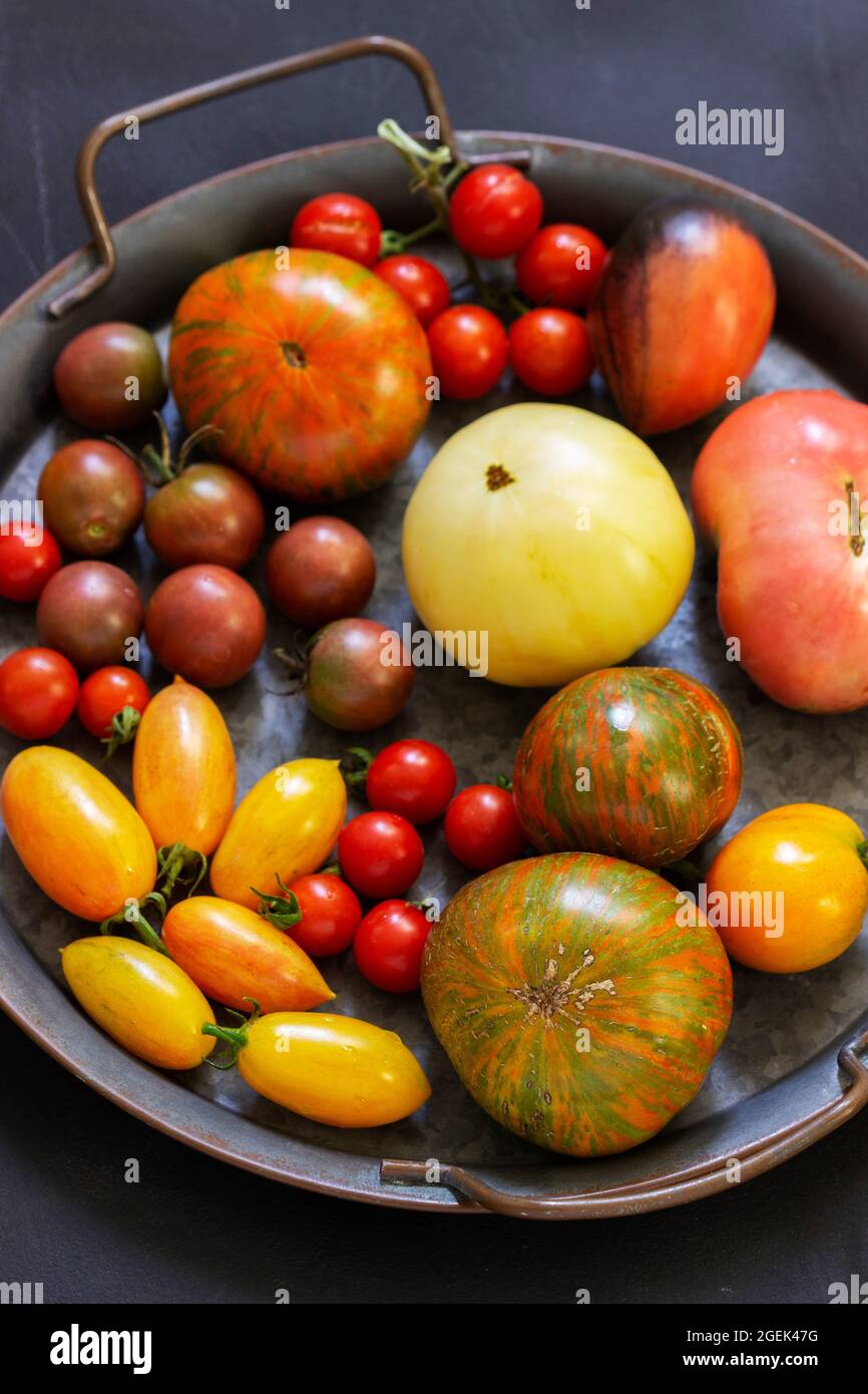 Tomatoes of different varieties and sizes on a dark background Stock ...