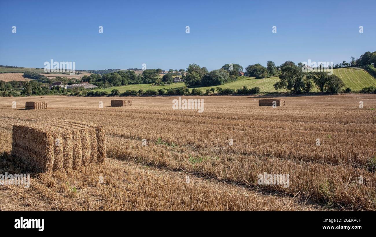 Farmland near Berwick Stock Photo